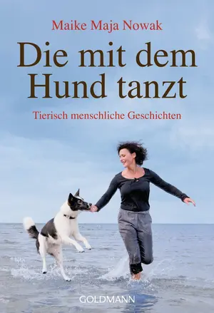 Allgemeines Sachbuch