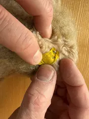 Vorschaubild 3 von Teddybär Plüschtier Kuscheltier Beige Klassisch 33 cm