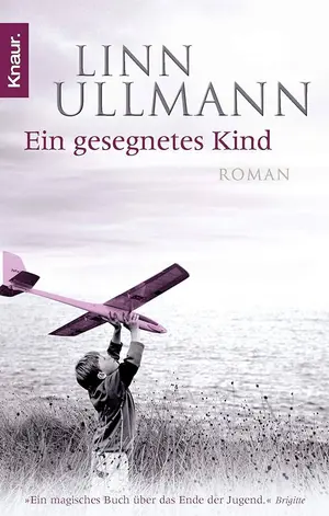 Gesellschaftsroman