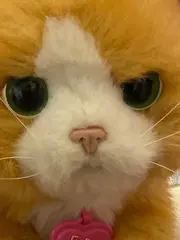 Vorschaubild 2 von FurReal Friends Plüschkatze elektronisch orange interaktiv Katze