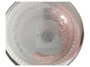 Vorschaubild 2 von Glas Trinkflasche Transparent 25 cm Alltag