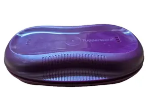 TUPPERWARE Lunchbox