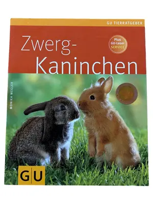 Hobbybuch