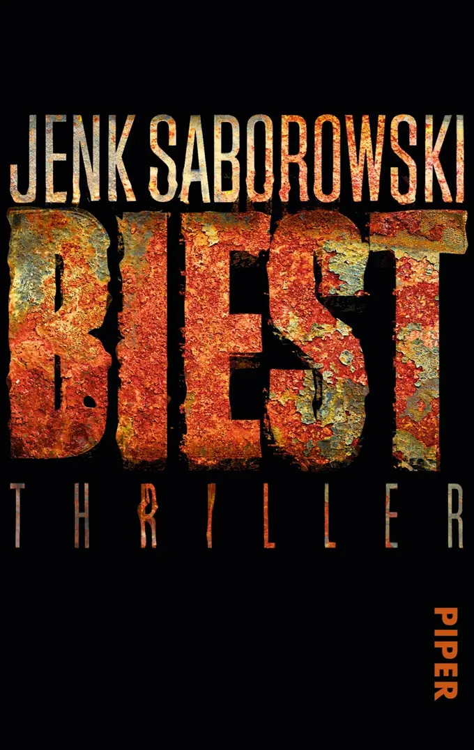 Thrillerbuch Bild 1