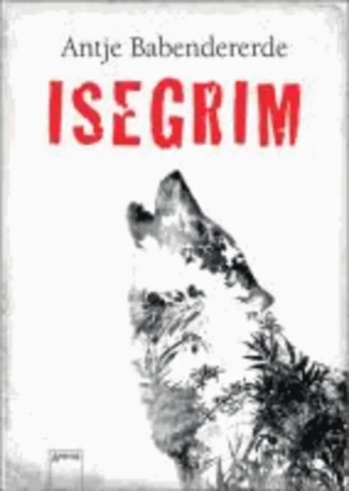 Buch für Jugendliche Bild 1