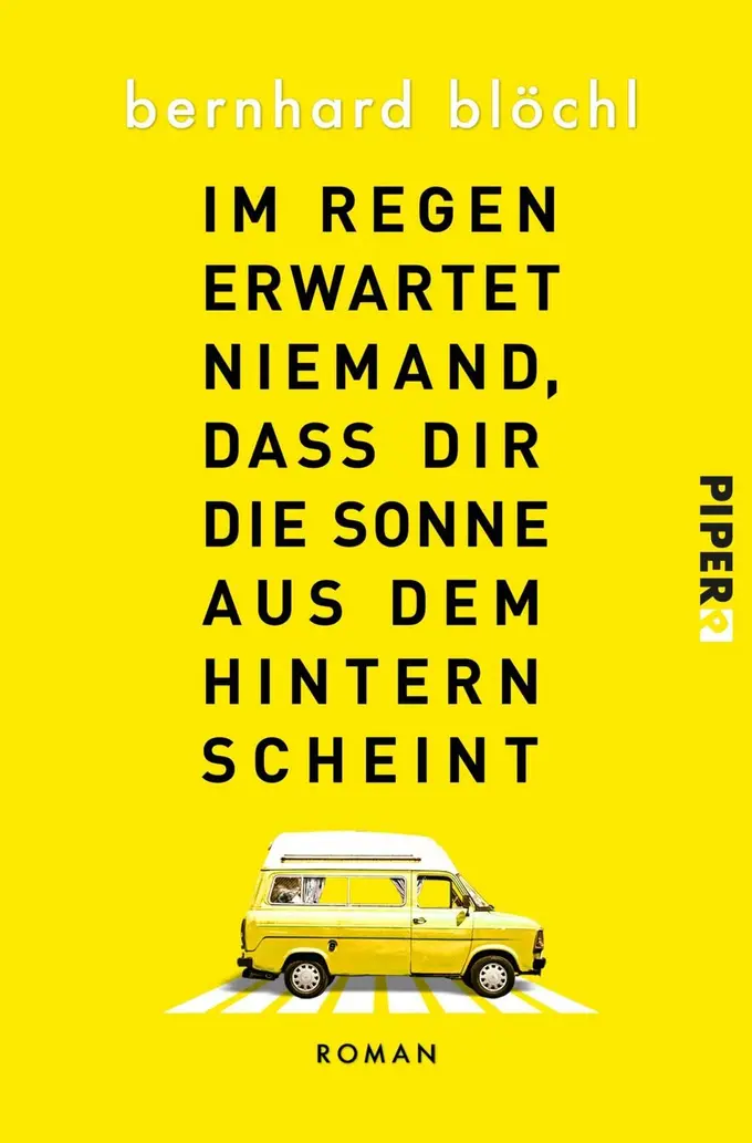 Gesellschaftsroman Bild 1