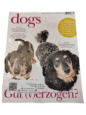 DOGS Zeitschrift