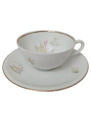 SCHIRNDING Tasse und Unterteller