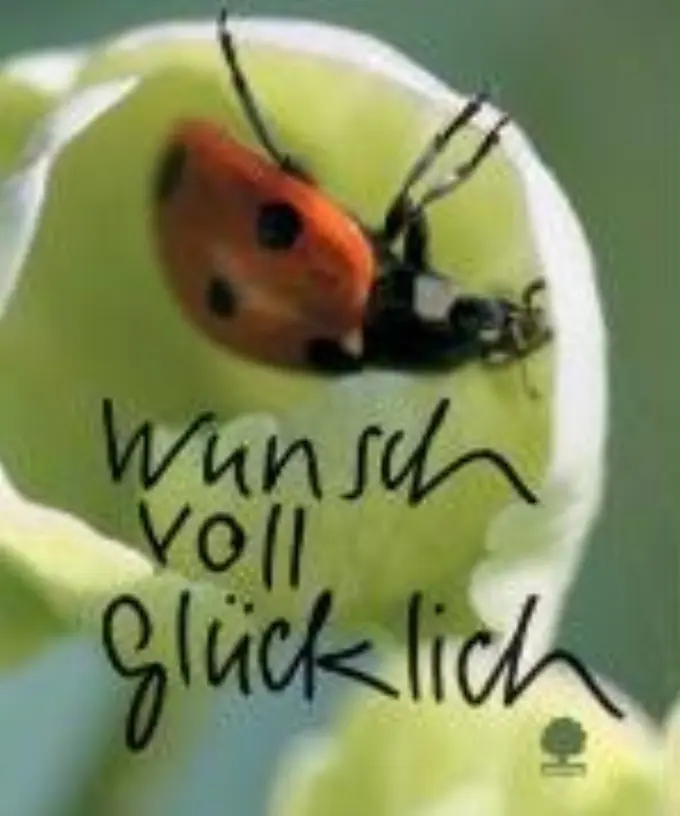 Allgemeines Sachbuch Bild 1