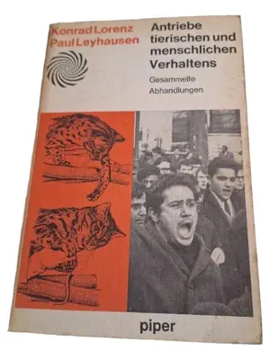 Fachbuch für Psychologie