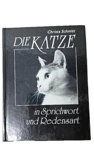 Allgemeines Sachbuch