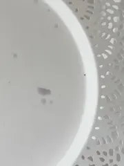 Vorschaubild 3 von Servierplatte Metall Weiß Spitzenrand Ø 38 cm Kuchenteller