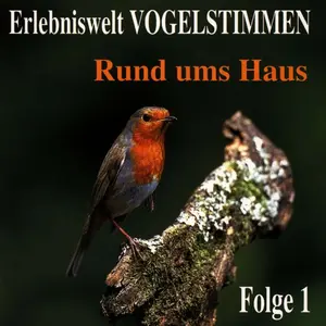 Hörbuch