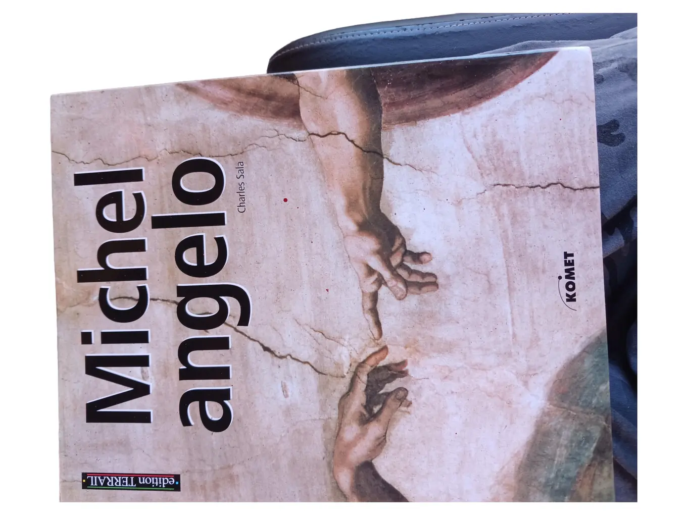 Michelangelo Bildband Kunst Buch Hardcover Charles Sala Komet