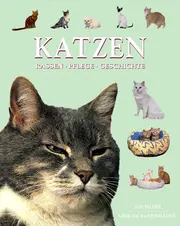 Vorschaubild Allgemeines Sachbuch 1
