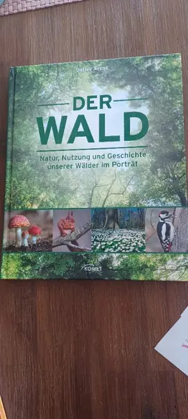 Allgemeines Sachbuch