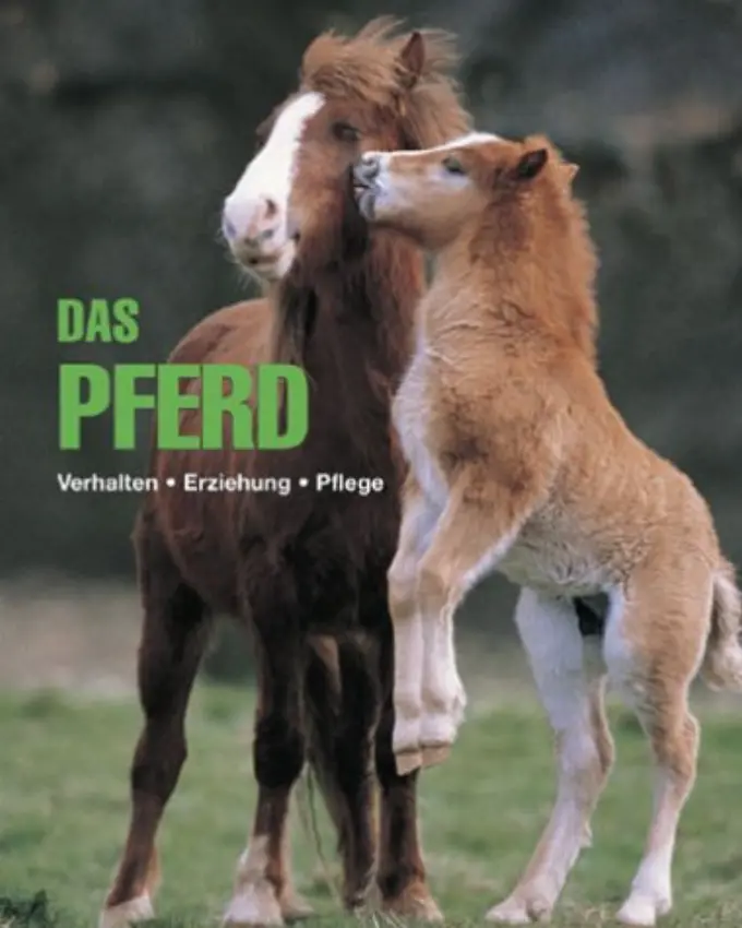 Hobbybuch Bild 1