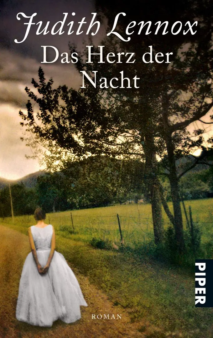Gesellschaftsroman Bild 1