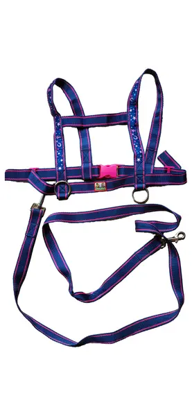 PFERDEFREUNDE Hundegeschirr