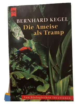 Allgemeines Sachbuch