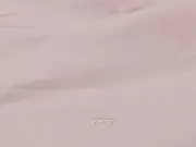 Vorschaubild 3 von CASSANI Damen Poloshirt Gr. 44 Rosa Casual Baumwolle