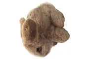 Vorschaubild 1 von Baby Kuscheltier Hase Plüschtier beige 12 cm