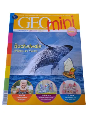 GEOMINI Zeitschrift