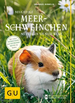 Hobbybuch
