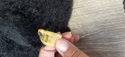 Vorschaubild 3 von Panther Kuscheltier Klassisch Schwarz 20cm Stofftier Tier
