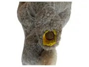 Vorschaubild 2 von Hase Kuscheltier Stofftier Grau Klassisch Plüschtier Sammler