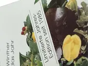 Vorschaubild 4 von DAS EI '98 Ole Winther Porzellan Dekodose Vogel Blumen 6cm