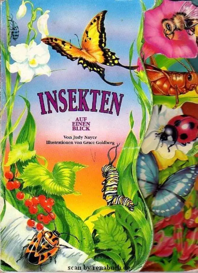 Allgemeines Sachbuch Bild 1