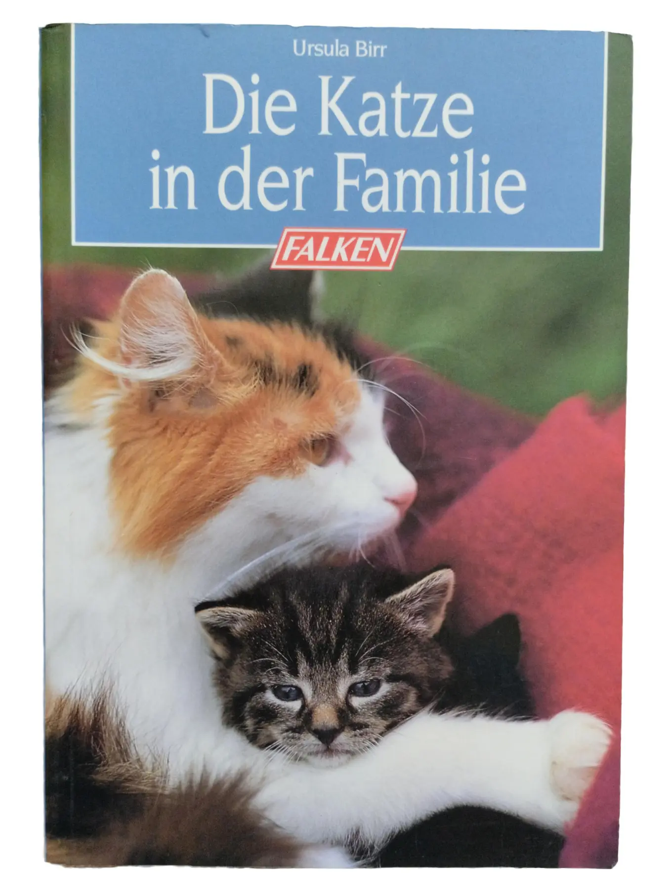 Ursula Birr Die Katze in der Familie Ratgeber Katzenhaltung Falken Taschenbuch