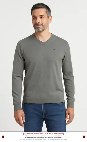 S.OLIVER Pullover