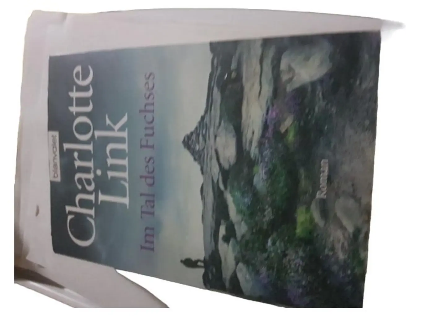 Im Tal des Fuchses Charlotte Link Bestseller Gesellschaftsroman TB Deutsch