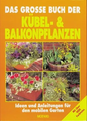 Hobbybuch
