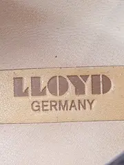 Vorschaubild LLOYD Pumps 3
