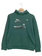 Vorschaubild PUMA Kapuzenpullover 1