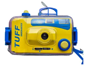 WINDSOR Analogkamera