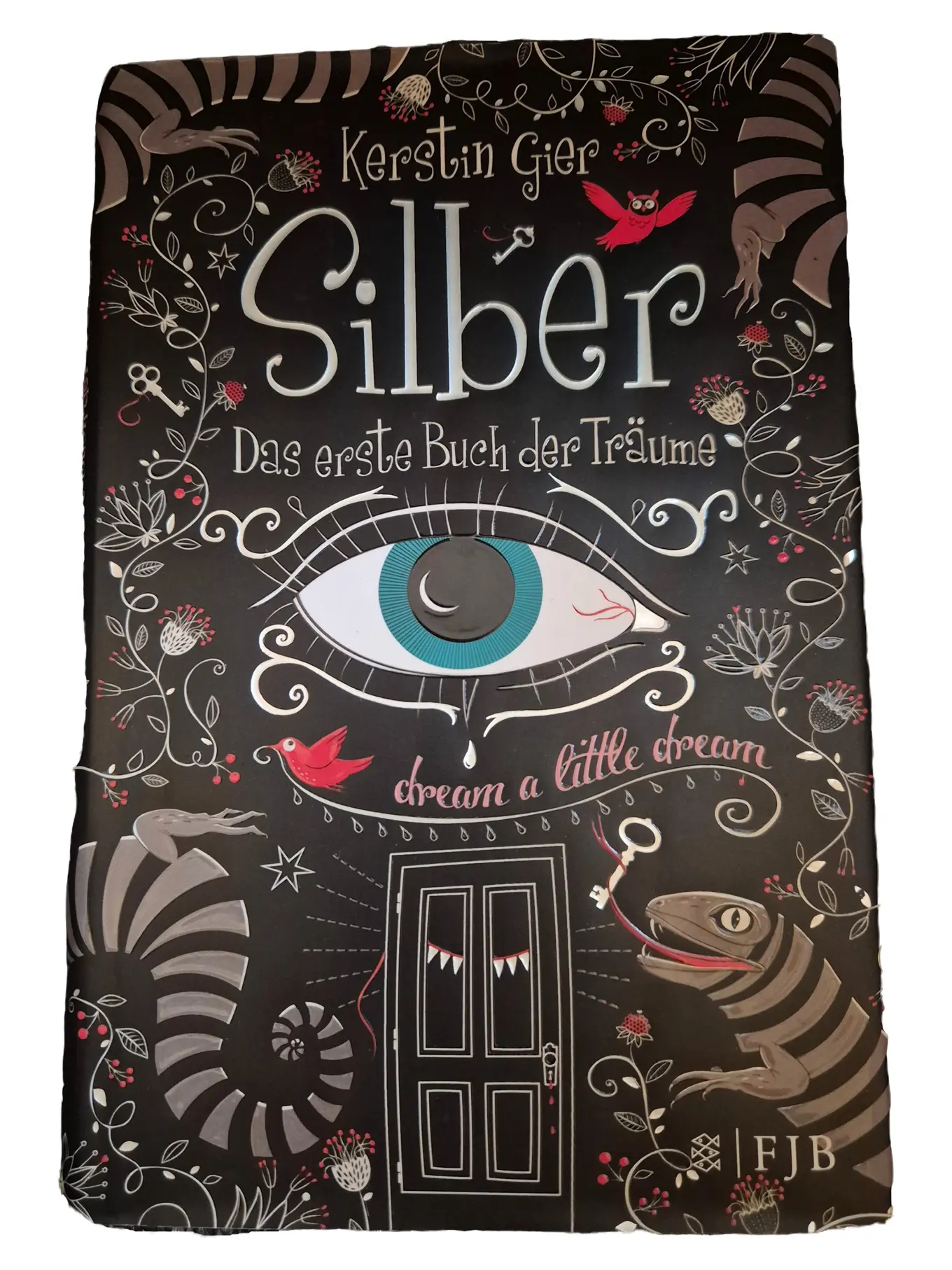 Kerstin Gier Silber Das Erste Buch Der Träume Fantasy Roman Jugendbuch