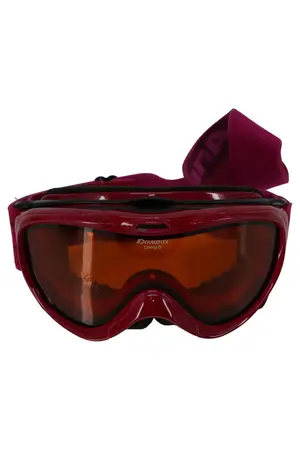 ALPINA Skibrille