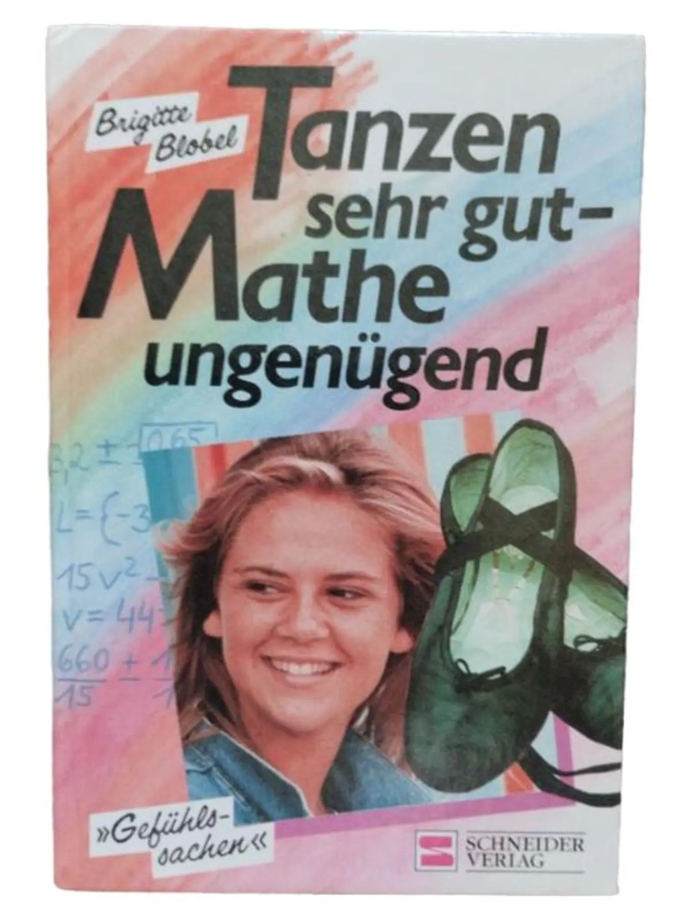 Brigitte Bloebel Jugendbuch Coming-of-Age Taschenbuch Deutsch Schneider Verlag