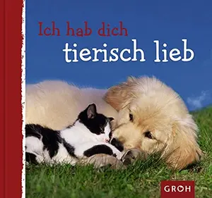 Humorbuch