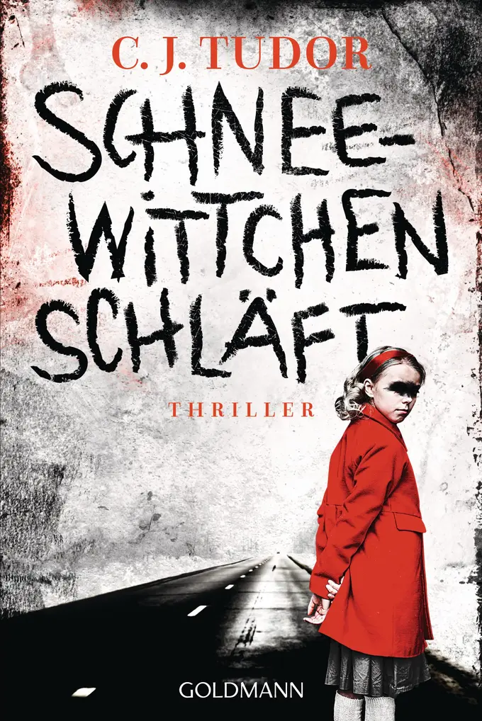 Thrillerbuch Bild 1