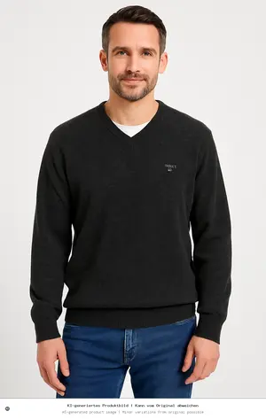 GANT Pullover
