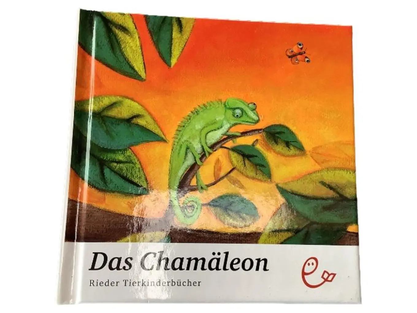 MARKENLOS Das Chamäleon - Rieder Tierkinderbücher Sachbuch Kinder Hardcover