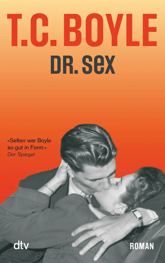 Gesellschaftsroman Bild 1