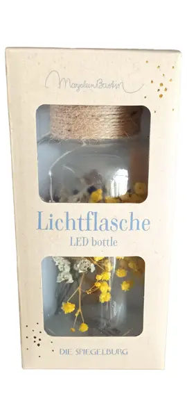 DIE SPIEGELBURG Lichterkette