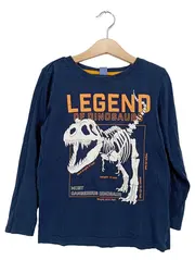 Vorschaubild 1 von dopodop Langarmshirt Jungen Dinosaurier Blau Gr. 122