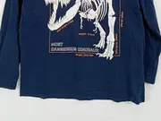 Vorschaubild 2 von dopodop Langarmshirt Jungen Dinosaurier Blau Gr. 122